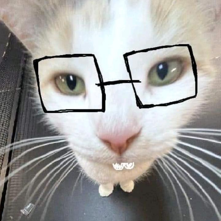 Profile Picture of Jeanette.Harris (@shanidftahn) on Tiktok