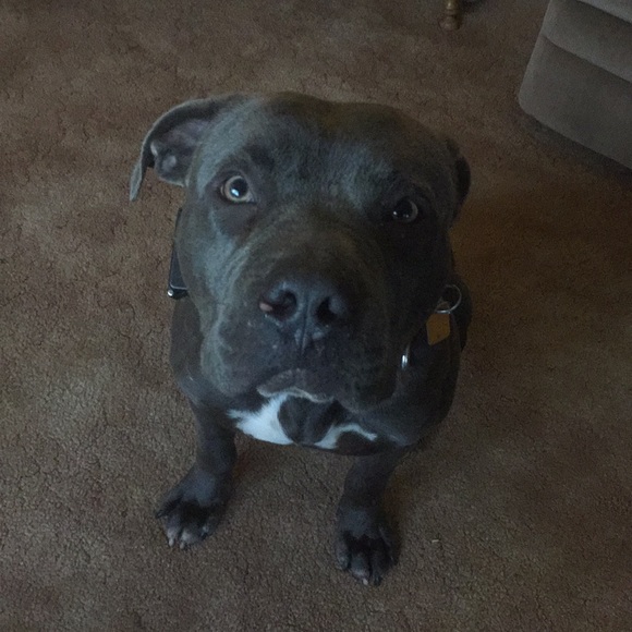 Profile Picture of Aeriana Cassavaugh (@aeriana0318) on Poshmark