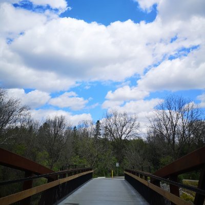 Profile Picture of Zhong (Mike) Wang (@ZhongMikeWang1) on Twitter