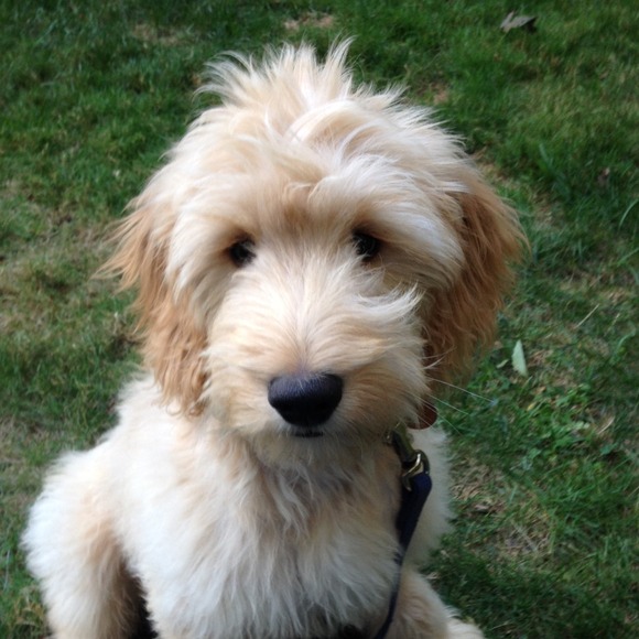 Profile Picture of Kristen Hatchel (@kizzie3408) on Poshmark