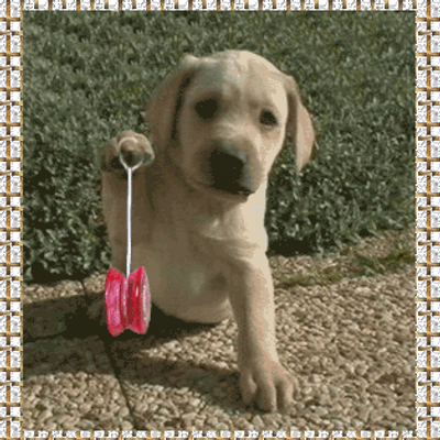 Profile Picture of Jemma Thomas (@Jemjarocks) on Twitter