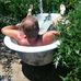 Profile Picture of Mark Mitchener (@mark.mitchener.92) on Facebook