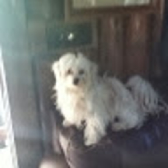 Janis Hartman - Poshmark Profile Picture of Janis Hartman (@janismhartman) on Poshmark