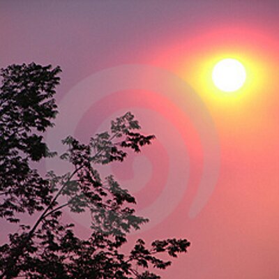 Profile Picture of Dorian Robert (@DorianRobert1) on Twitter