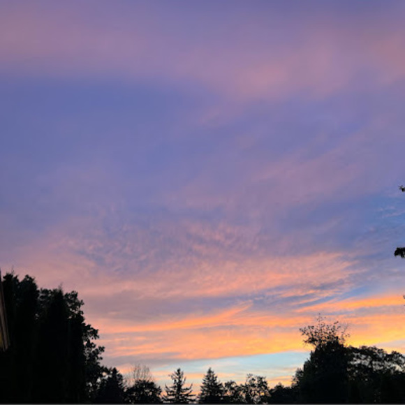 Profile Picture of Abbi Spillane (@abbispillane) on Poshmark