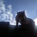 Profile Picture of Jose Pozos (@jose.pozos.33633) on Facebook