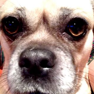 Profile Picture of Millie Connolly (@Millie-Connolly) on Facebook