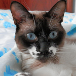 Profile Picture of Fernando Hurtado (@fernandohurtado2626) on Flickr