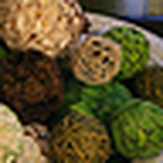 Profile Picture of aKd genuine photography (@aKd genuine photography) on Flickr