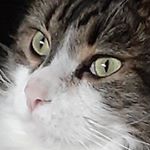 Profile Picture of jacob Larocque (@ghostpepper2004) on Instagram