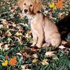 Profile Picture of robinmacgregor10 (@robinmacgregor10) on Tiktok