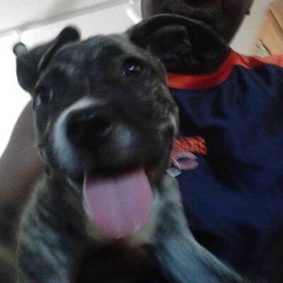 Profile Picture of Barry Burns (@@barryburns3) on Twitter