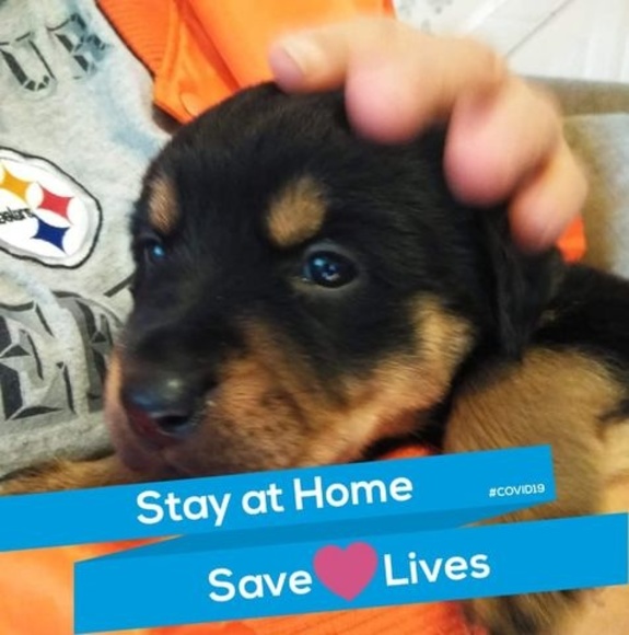 Profile Picture of Marshalla Wilson (@marshalla125) on Poshmark