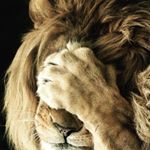 Profile Picture of David Cullingford (@cullingfordd) on Instagram