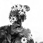 Profile Picture of James Rounds (@jimi_rounds) on Instagram