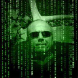 Profile Picture of Daniel Bernhardt Gareis (@BernhardtGareis) on Twitter