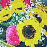 Profile Picture of marialucente (@marialucente1) on Instagram