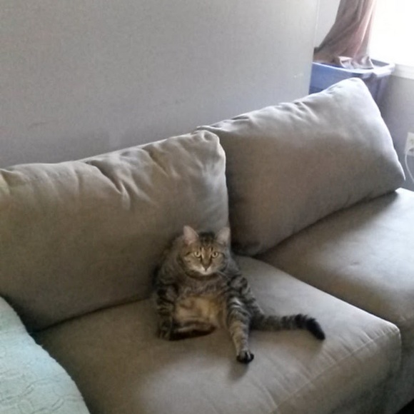 Profile Picture of Chad Onate (@chadonate) on Poshmark