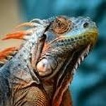 Profile Picture of Austin Carroll (@austincarrolldf) on Instagram