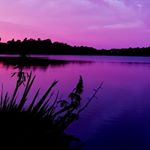 Profile Picture of Adam Lee (@adamlee_photography) on Instagram