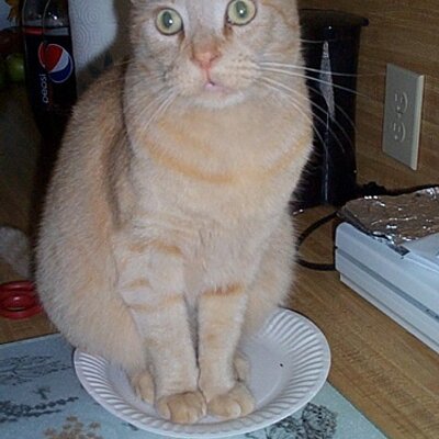 Profile Picture of Jerry Beebe (@Jerry_Beebe) on Twitter