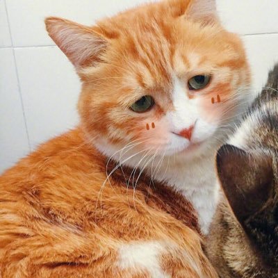 Profile Picture of Sharon Zheng (@Sharon_zwx) on Twitter