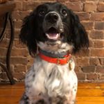 Profile Picture of philipcappello (@philipcappello) on Instagram