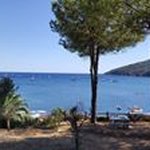 Profile Picture of Daniela Noviello (@noviello.daniela) on Instagram