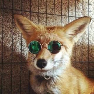 Profile Picture of Christopher DeBlass (@christopherdeblass) on Instagram