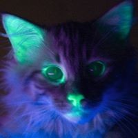 Profile Picture of Alex Gee (@alex-gee-25) on Quora