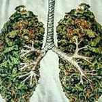 Profile Picture of jason tafoya (@_.jason._.420._) on Instagram