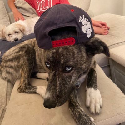 Profile Picture of Michael Waguespack (@MichaelWaguesp2) on Twitter