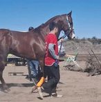 Alvaro Lucero - Facebook Profile Picture of Alvaro Lucero (@Alvaro-Lucero) on Facebook