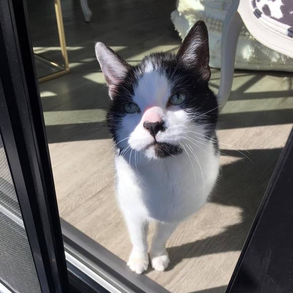 Profile Picture of Tracy a Rowland (@moondog00) on Poshmark