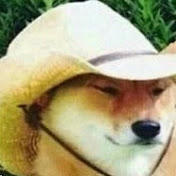 Profile Picture of Peyton Johnson (@peytonjohnson9785) on Youtube