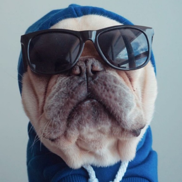 Profile Picture of Sophia Bottone (@sophbott) on Poshmark