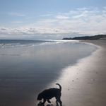 Profile Picture of Ruth - Sally’s Whitby ⚓️ (@sallys_whitbyholidayhome) on Instagram