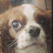 Profile Picture of Ashley Fowler (@ashleyfowler7586) on Youtube