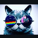 samuel todd - Instagram Profile Picture of samuel todd (@samueltodd2007) on Instagram