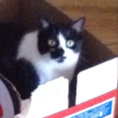 Chris Koogler - Twitter Profile Picture of Chris Koogler (@Rxkoogs) on Twitter