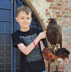 Benjámin Benke - Facebook Profile Picture of Benjámin Benke (@Benjámin-Benke) on Facebook