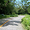Profile Picture of Carol Patch (@Carol Patch) on Flickr