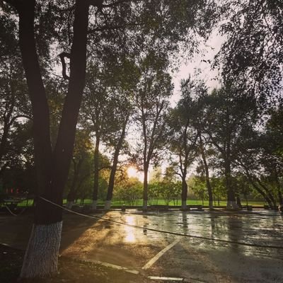 Profile Picture of Elaine Montoya (@LZLGAY) on Twitter
