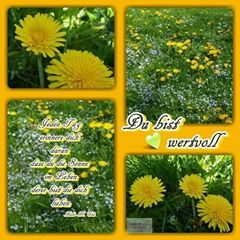 Profile Picture of David Bochmann (@davidbochmann9) on Tiktok