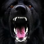 Profile Picture of J3NN (@running_wolf69) on Instagram