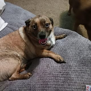 Mark Stanislawski - Instagram Profile Picture of Mark Stanislawski (@stanislawskimark) on Instagram