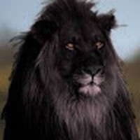 Profile Picture of Randy Landi (@randy-landi) on Quora