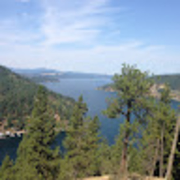 Profile Picture of Carole Bogden (@carolebogden) on Poshmark