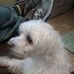 Profile Picture of Laurie Caldwell (@laurie.caldwell.142) on Facebook