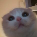 Profile Picture of Leah Ayala (@its_me_ley) on Instagram